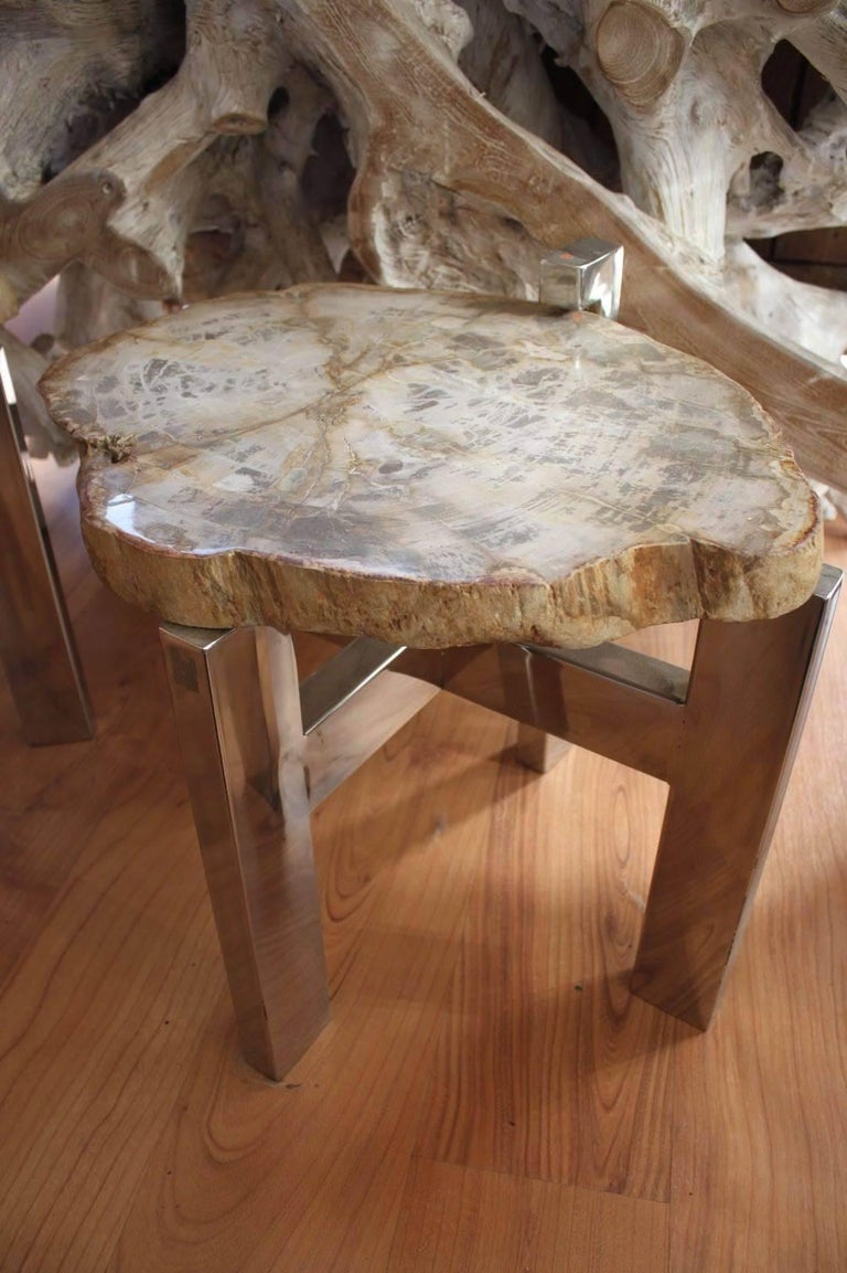 Pair of Petrified Wood Side Tables For Sale at 1stDibs
