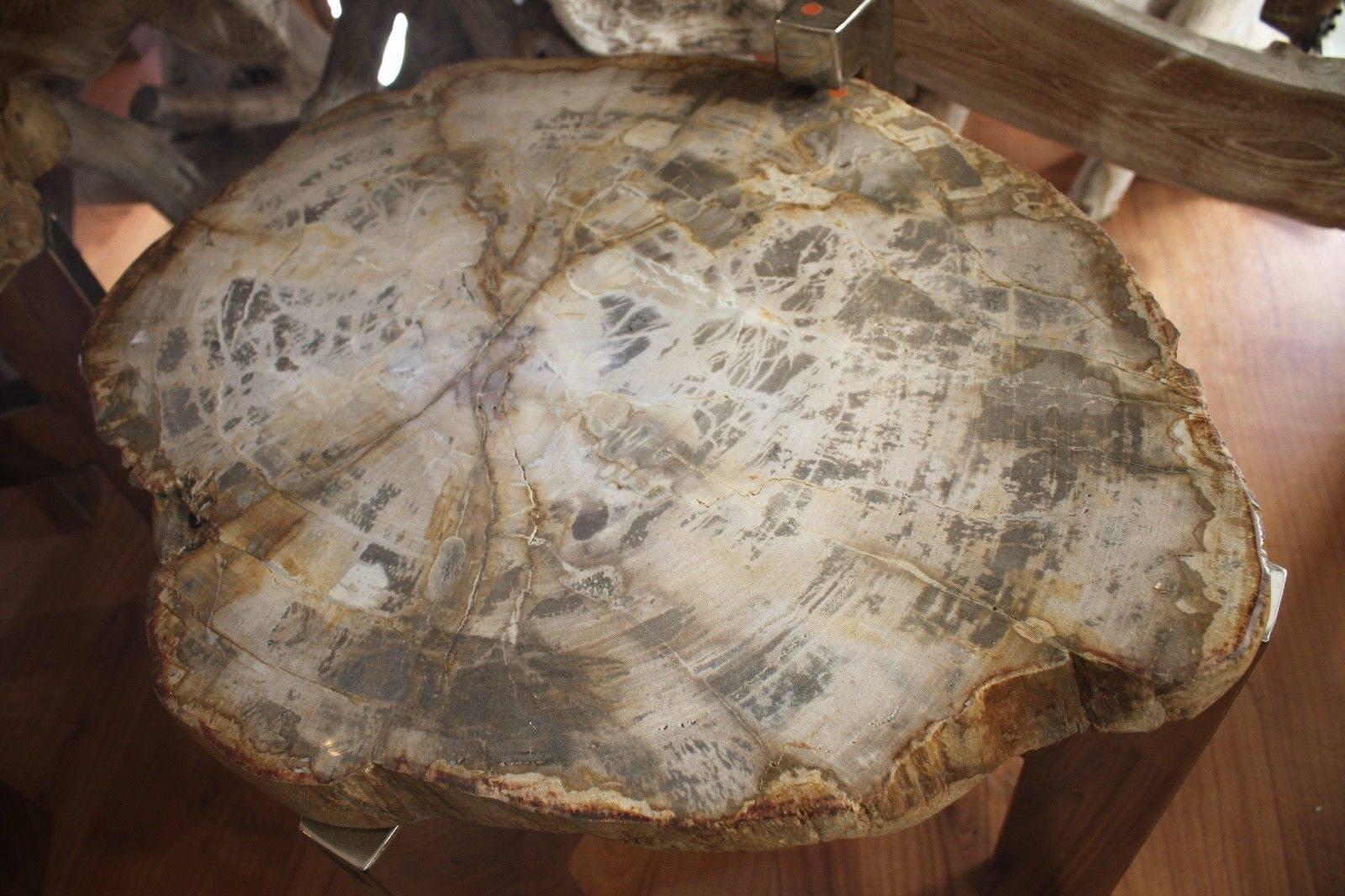 Contemporary Pair of Petrified Wood Side Tables For Sale
