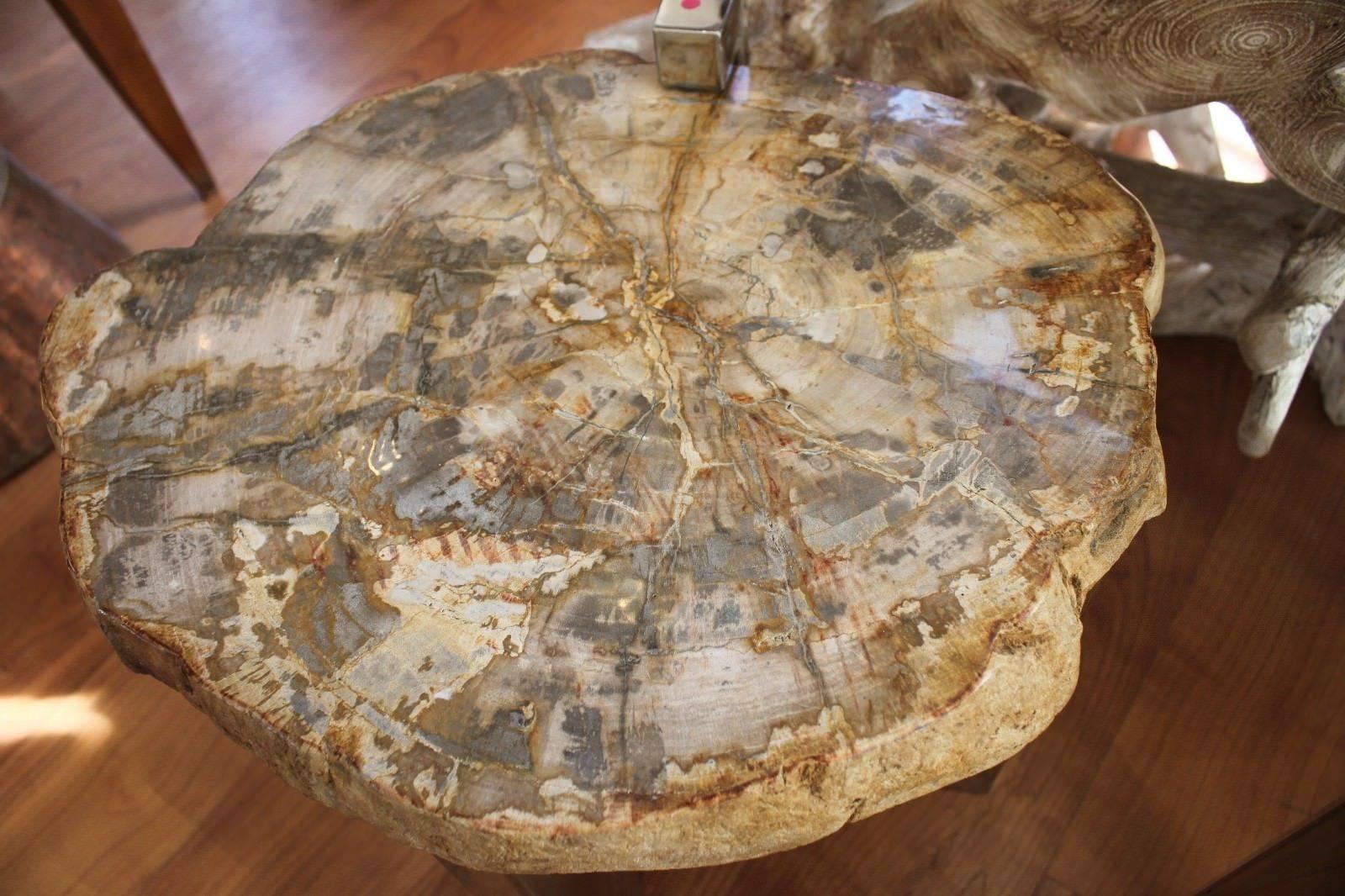 Pair of Petrified Wood Side Tables For Sale 1