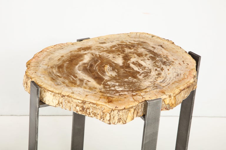 Pair of Petrified Wood Side Tables For Sale at 1stdibs