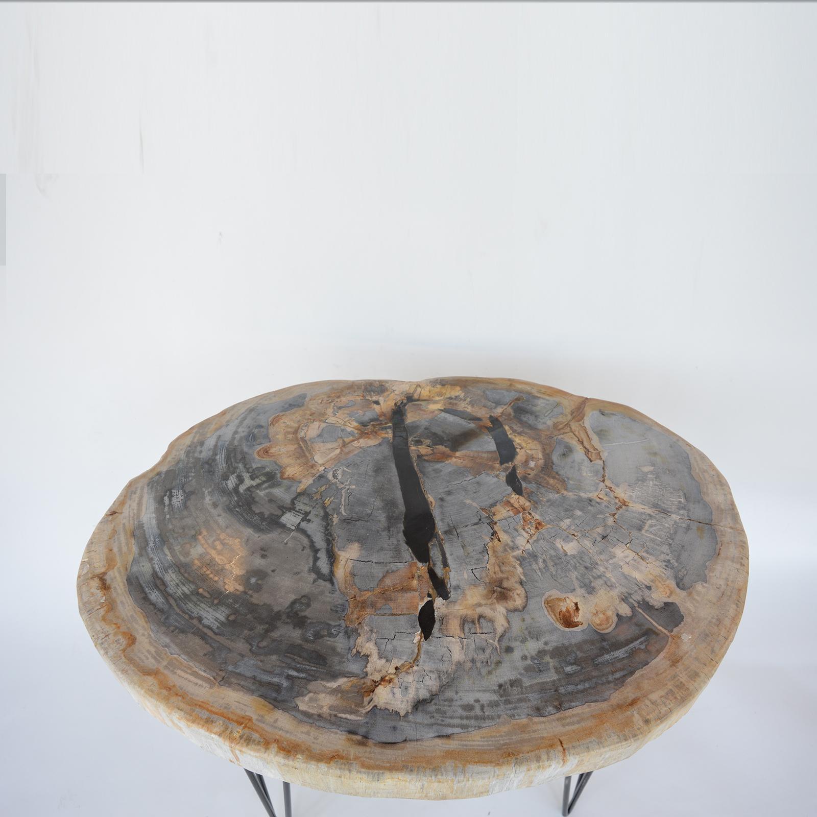 American Pair of Petrified Wood Side Tables with Iron Feet, Late 20th Century  For Sale