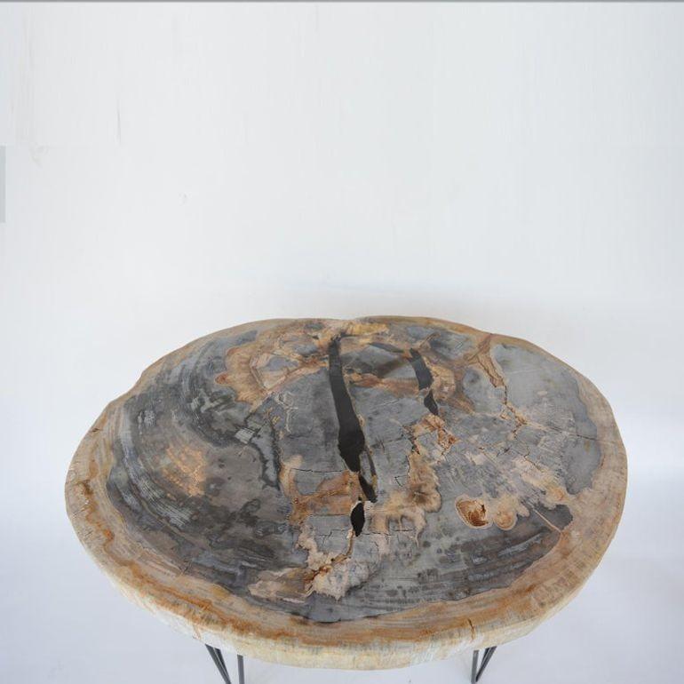 Américain Paire de tables d'appoint en bois pétrifié avec pieds en fer, fin du 20ème siècle en vente