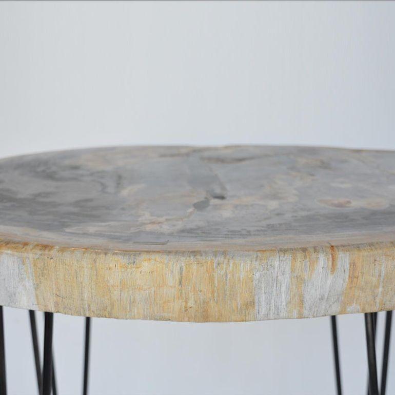 Paire de tables d'appoint en bois pétrifié avec pieds en fer, fin du 20ème siècle Bon état - En vente à Los Angeles, CA