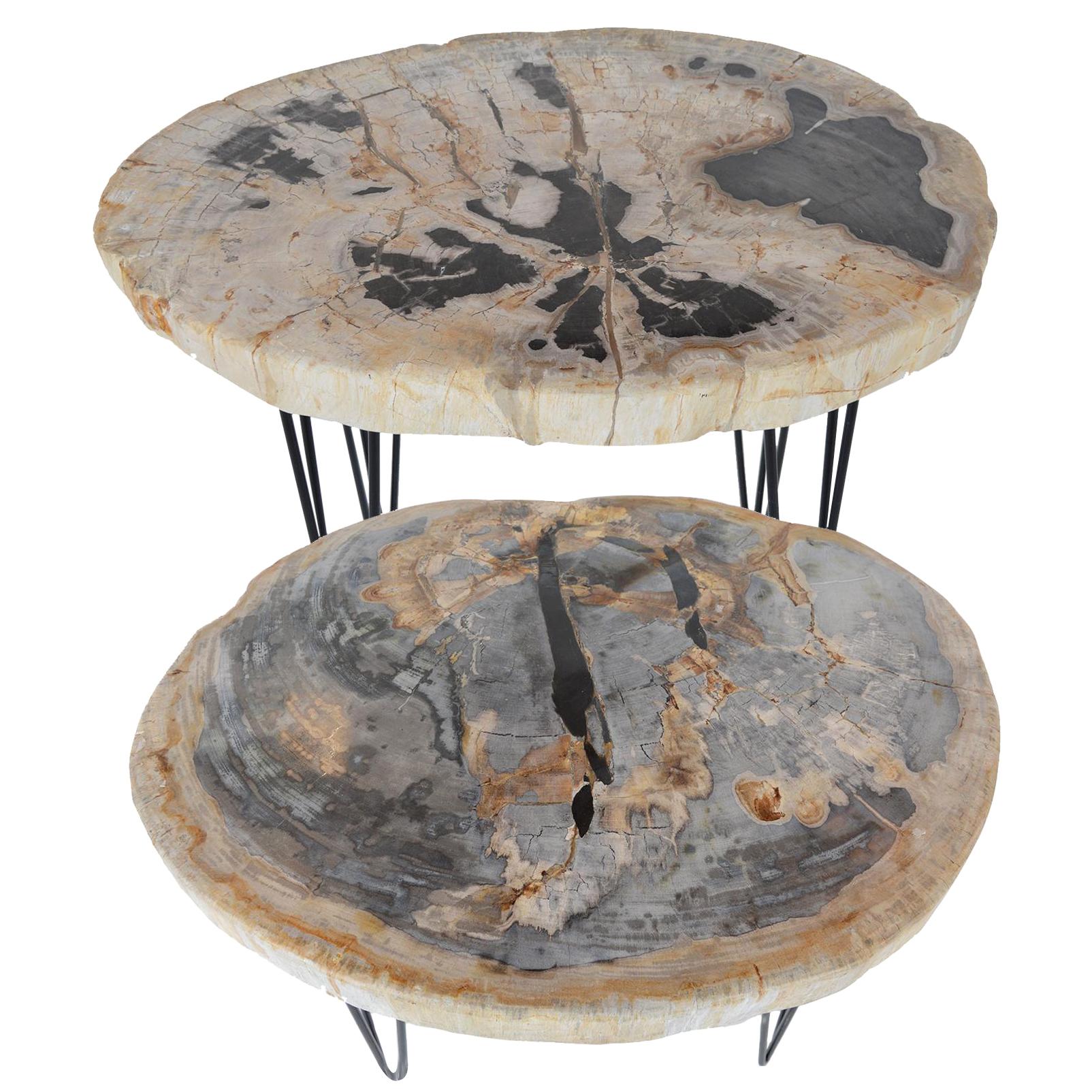 Pair of Petrified Wood Side Tables with Iron Feet, Late 20th Century  For Sale