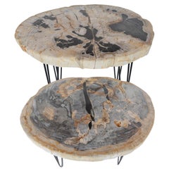 Vintage Pair of Petrified Wood Side Tables with Iron Feet, Late 20th Century 