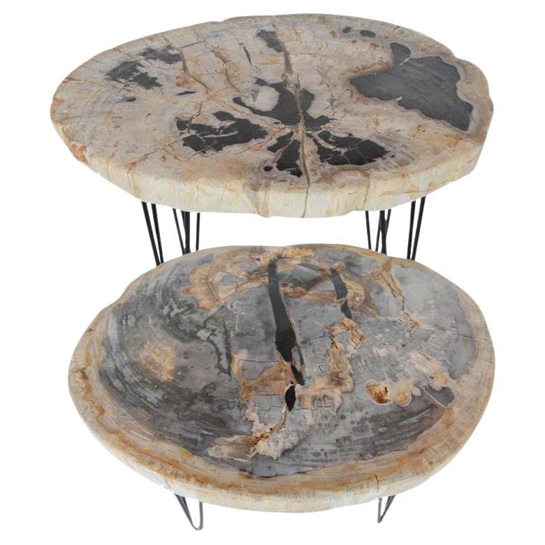 Paire de tables d'appoint en bois pétrifié avec pieds en fer, fin du 20ème siècle en vente