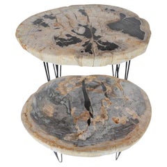 Coppia di tavolini in Wood pietrificato con piedi in ferro, fine XX secolo