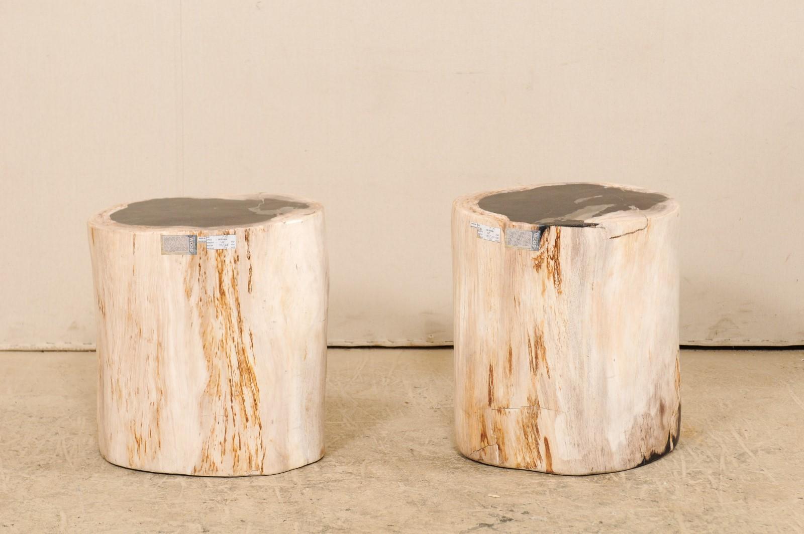 Pair of Petrified Wood Stools or Pedestal Tables with Black Tops & Light Sides 4