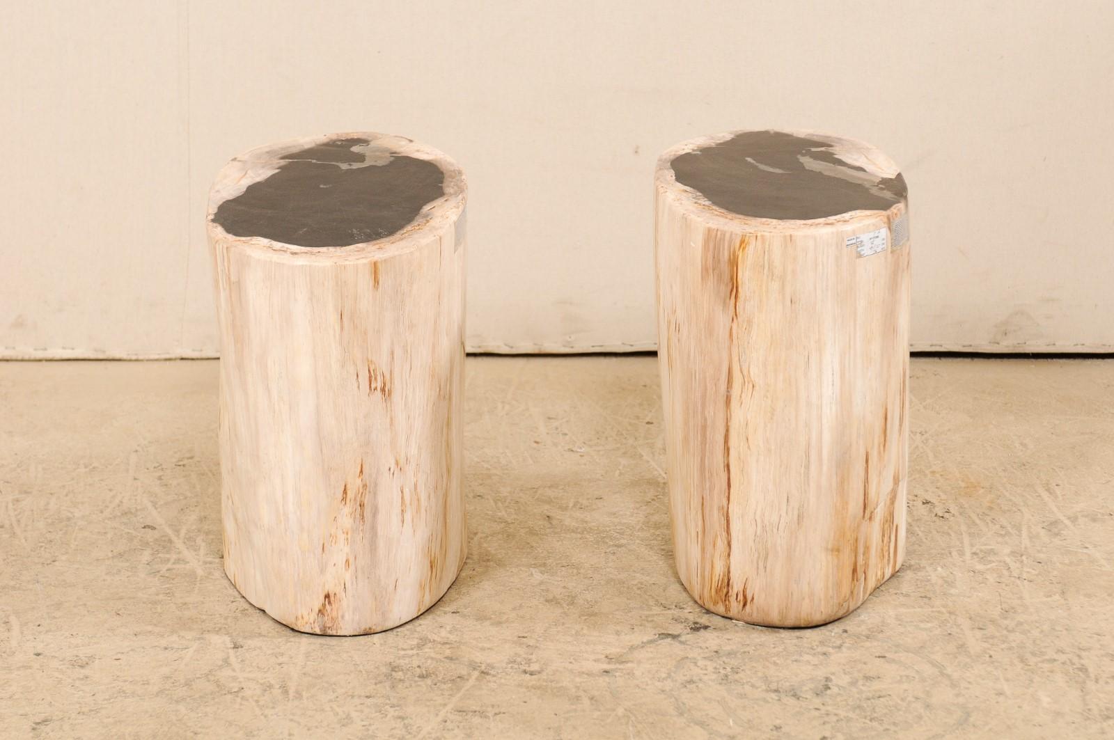 A pair of petrified wood drinks tables (or stools). This pair of petrified wood pedestal tables each have a smoothly polished top and sides, with primarily black tops, and bone with rust and grey veining about the perimeter sides. Petrified wood is