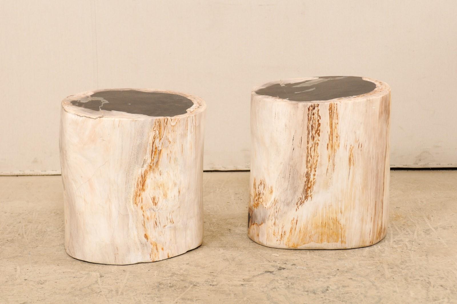petrified wood stool for sale