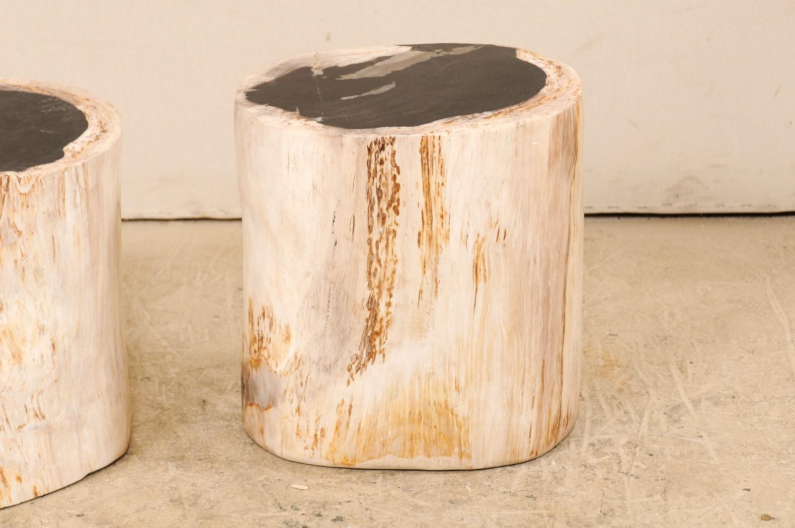 Polished Pair of Petrified Wood Stools or Pedestal Tables with Black Tops & Light Sides