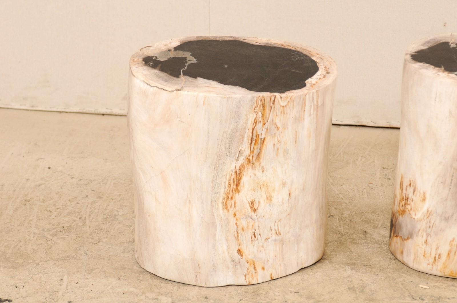 Pair of Petrified Wood Stools or Pedestal Tables with Black Tops & Light Sides In Good Condition In Atlanta, GA