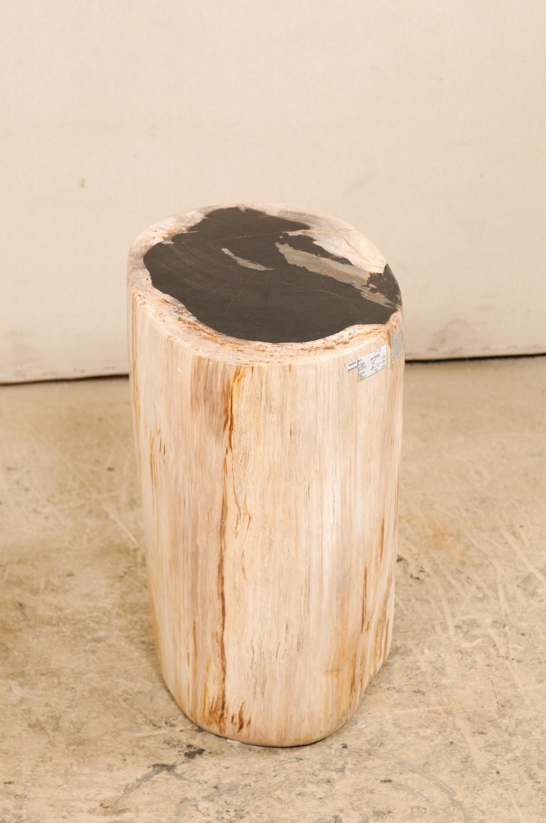 Contemporary Pair of Petrified Wood Stools or Pedestal Tables with Black Tops & Light Sides