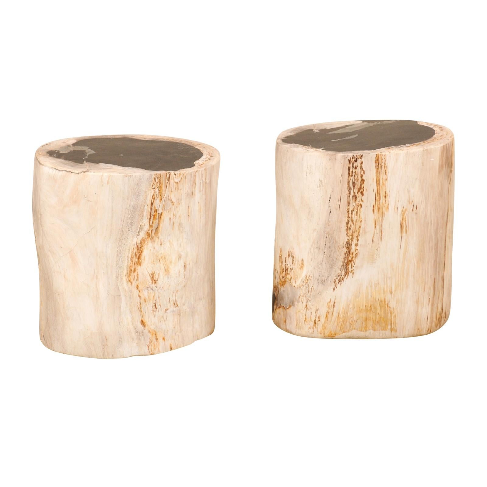 Pair of Petrified Wood Stools or Pedestal Tables with Black Tops & Light Sides