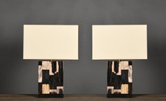 Paire de lampes de table en bois pétrifié, 20e siècle.