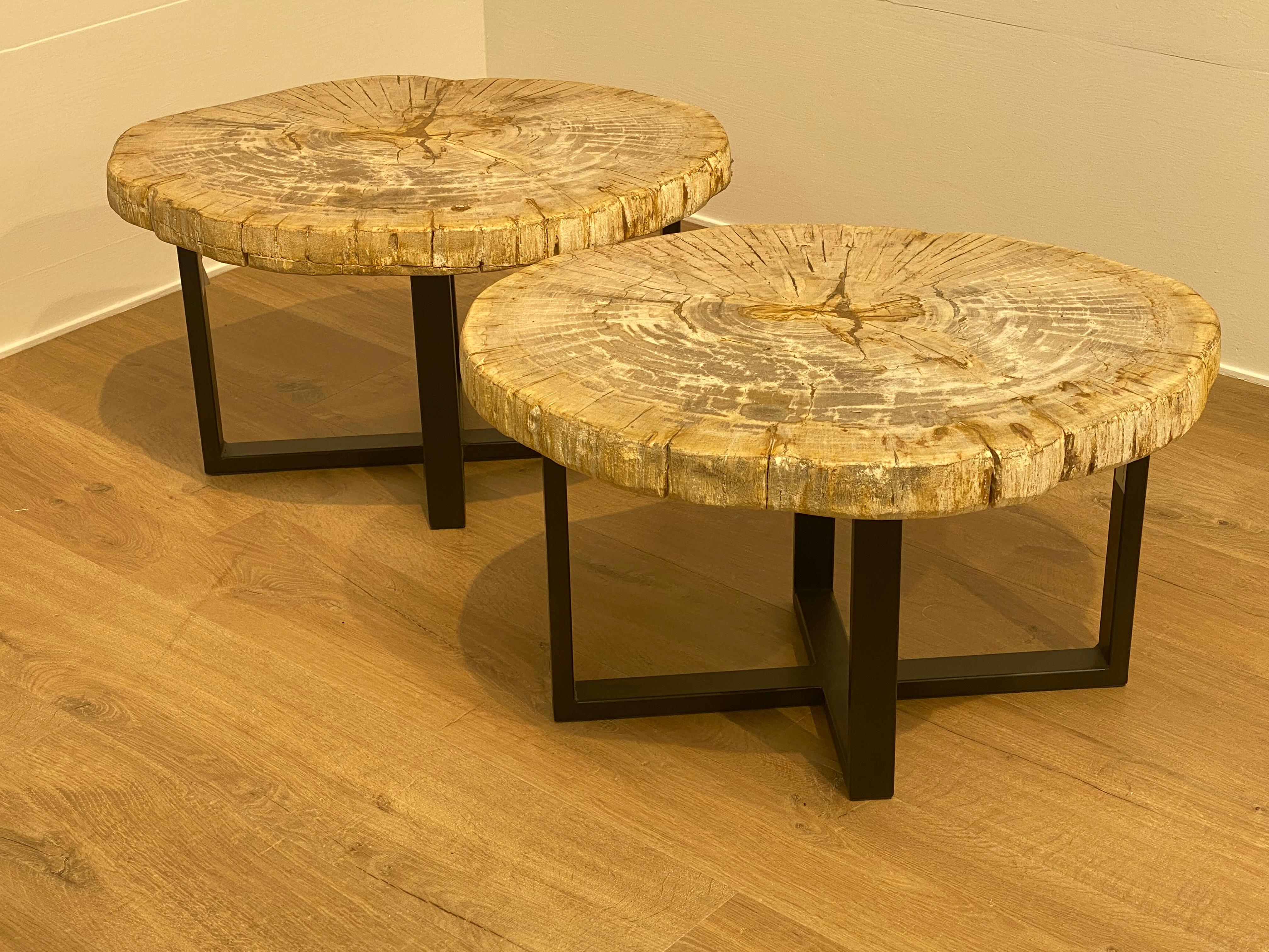 Pair of Petrified Wood Tables 4