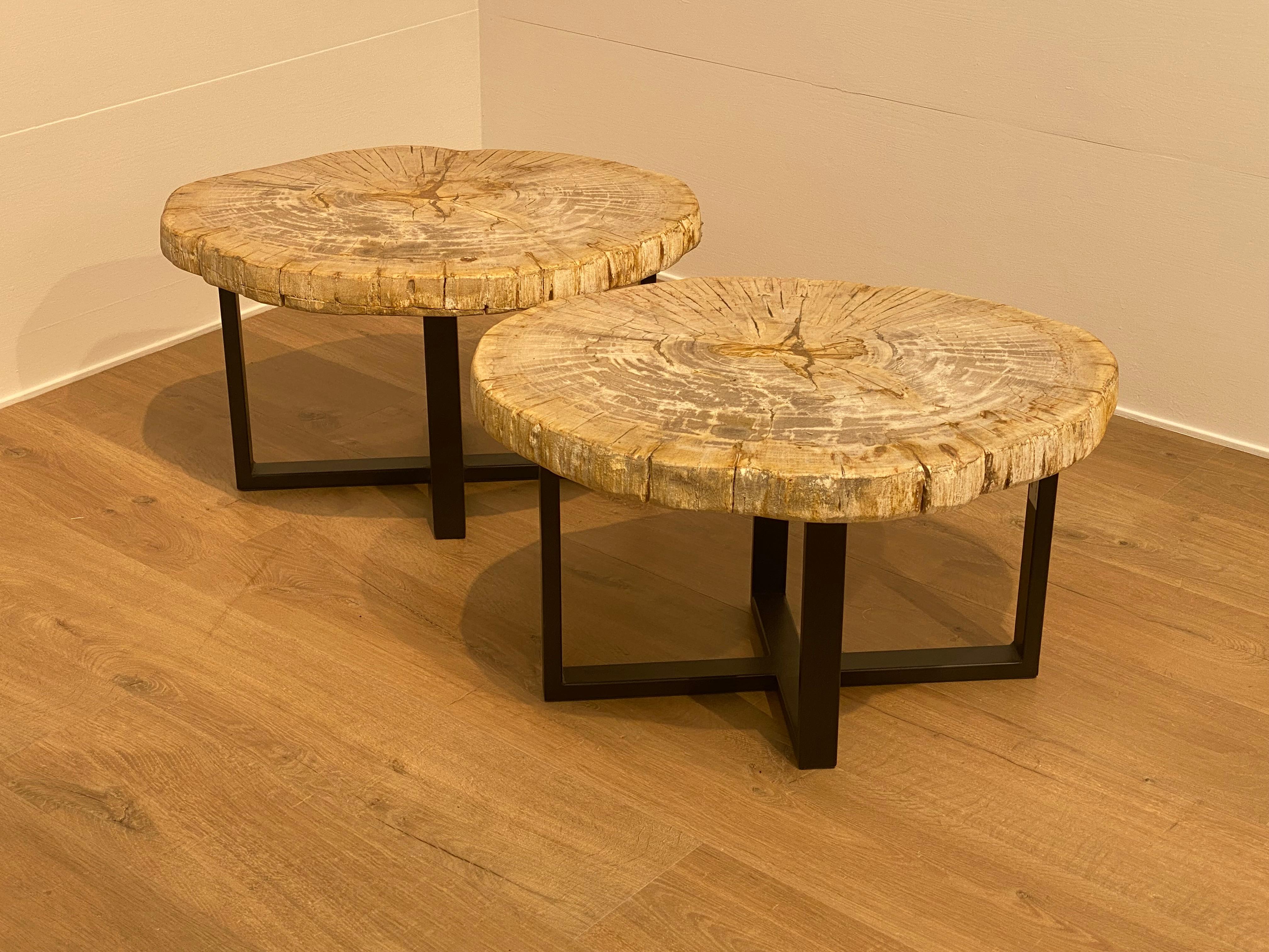 Pair of Petrified Wood Tables 6