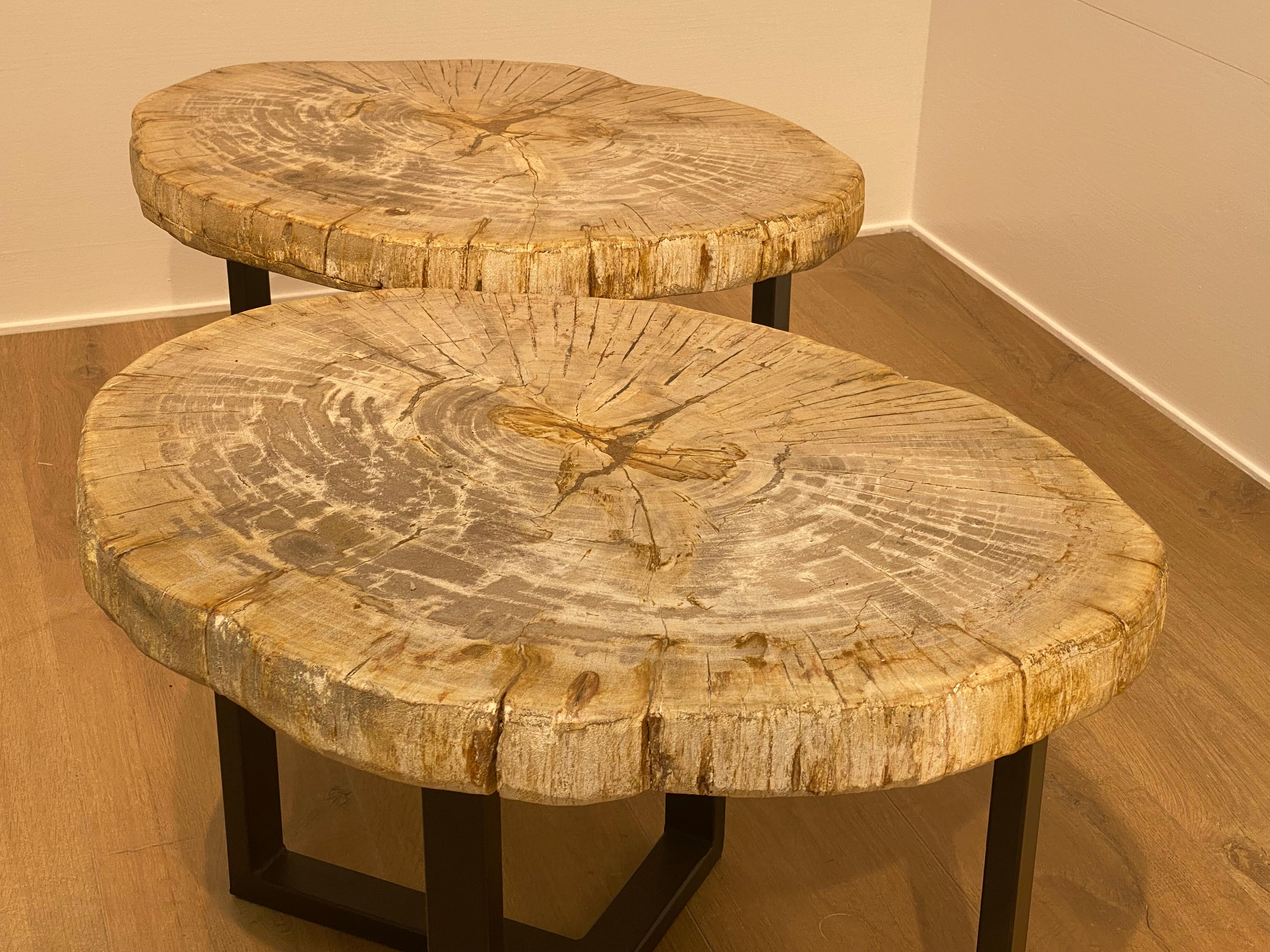 Pair of Petrified Wood Tables 9