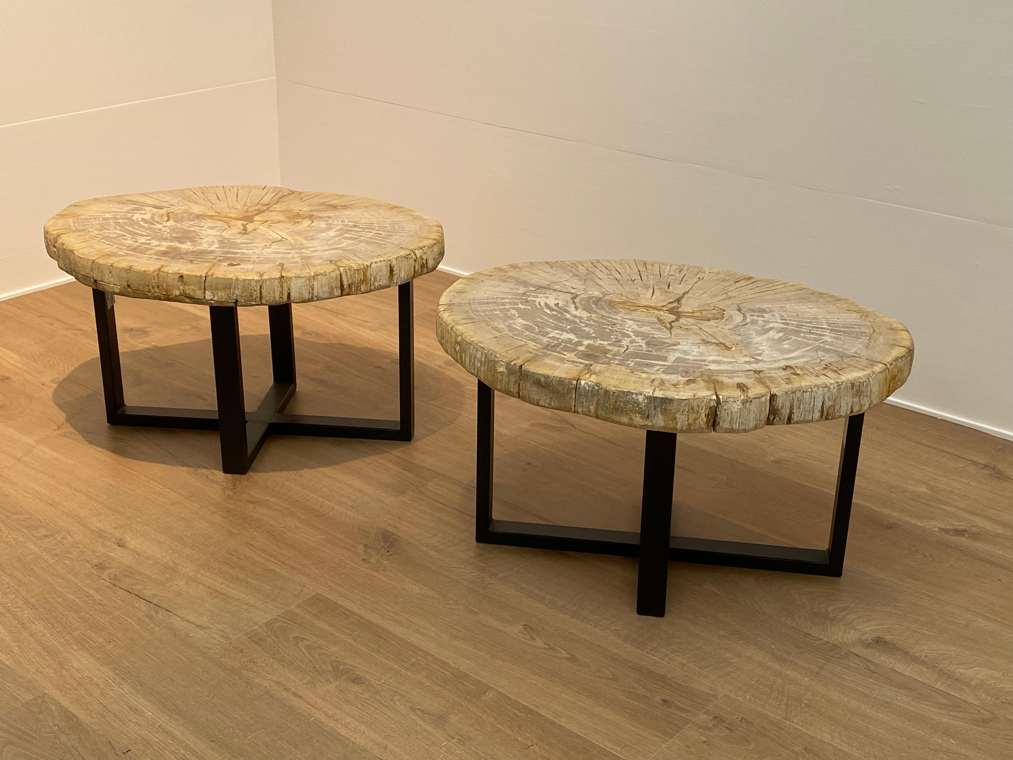 Exceptional pair of Petrified Wood Tables in a beautiful Beige and Brown Color,
good patina and shine of the Stone,
both tables are almost similar because they come of the same log,
to be used as a coffeetable  or as side table,
magnificent serrated