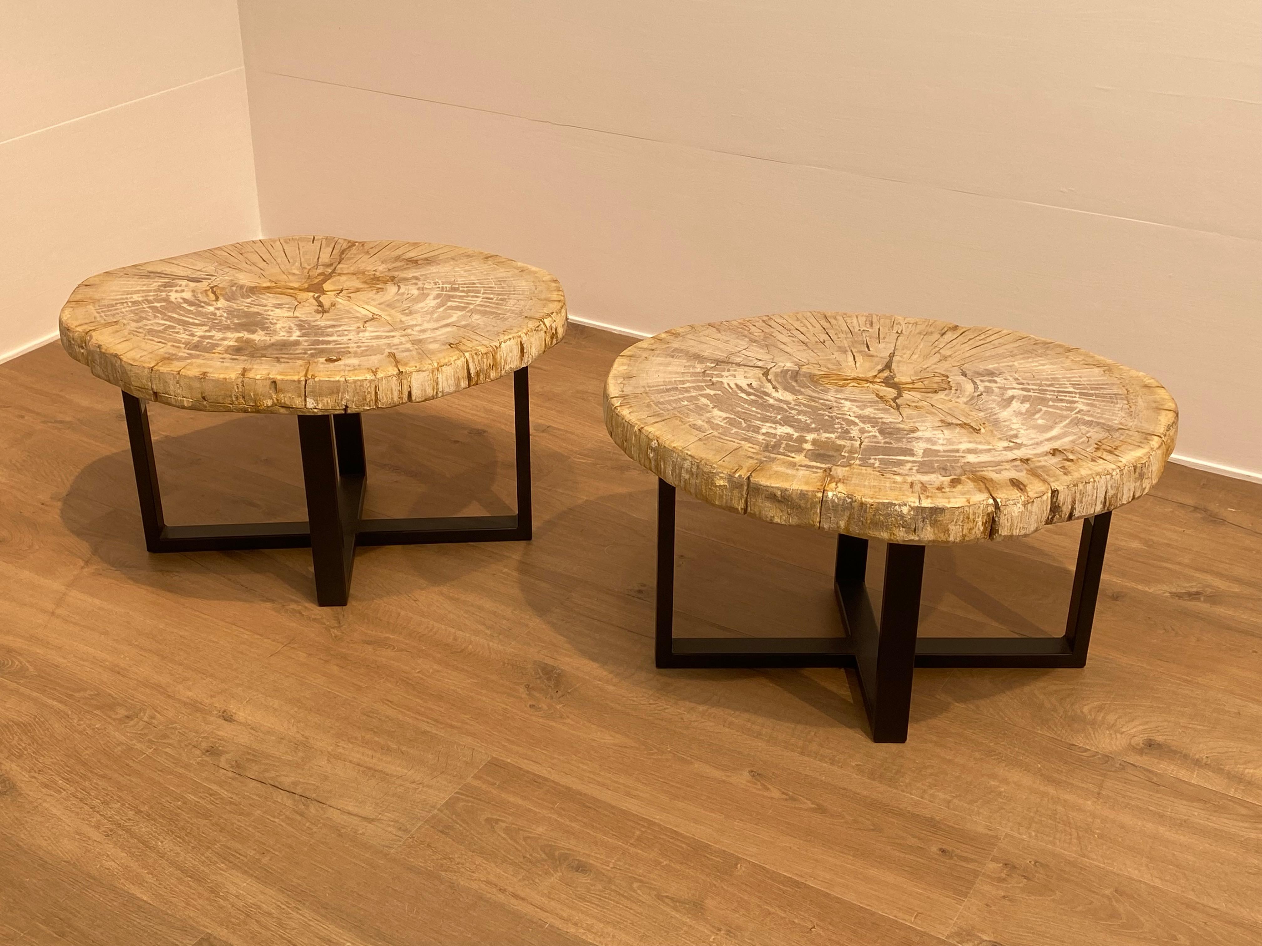 Indonesian Pair of Petrified Wood Tables