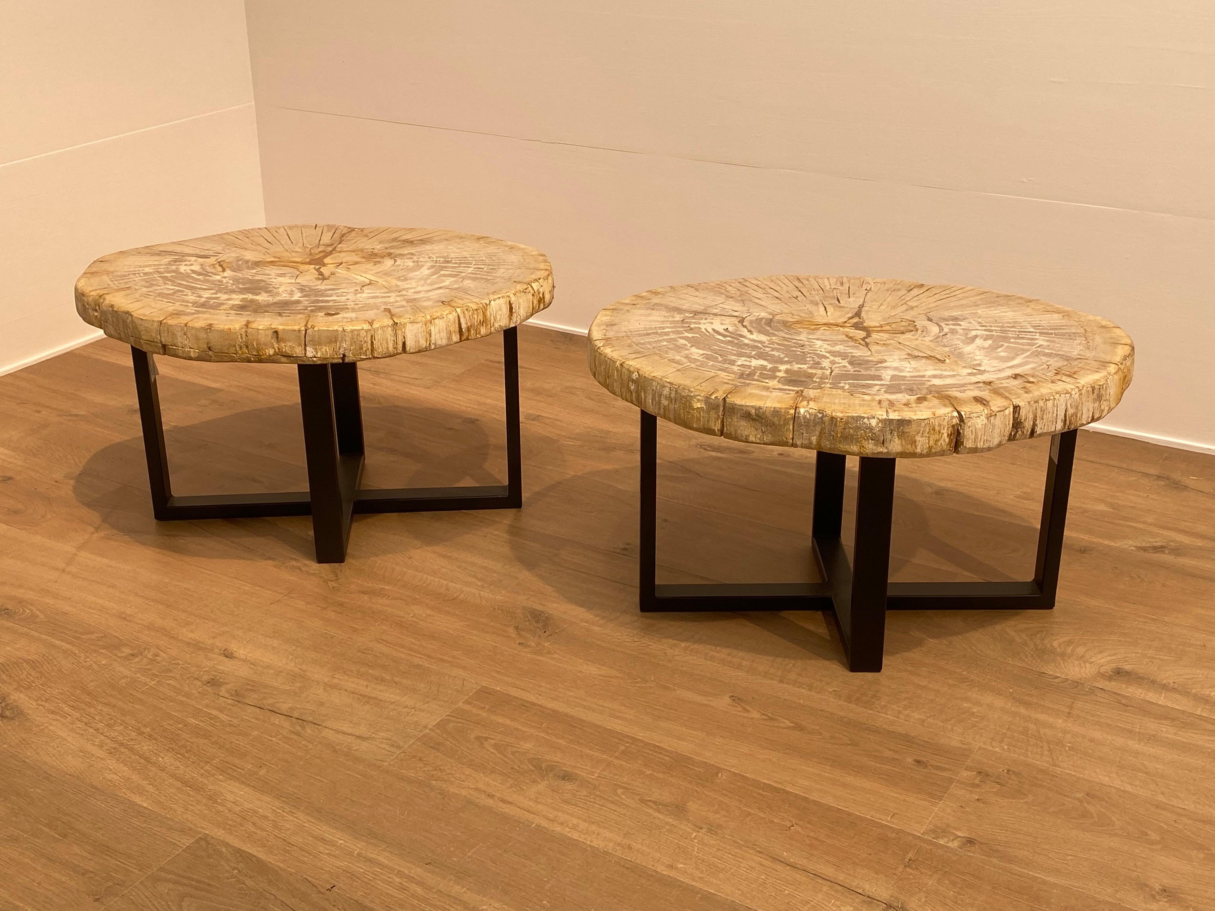 Polished Pair of Petrified Wood Tables