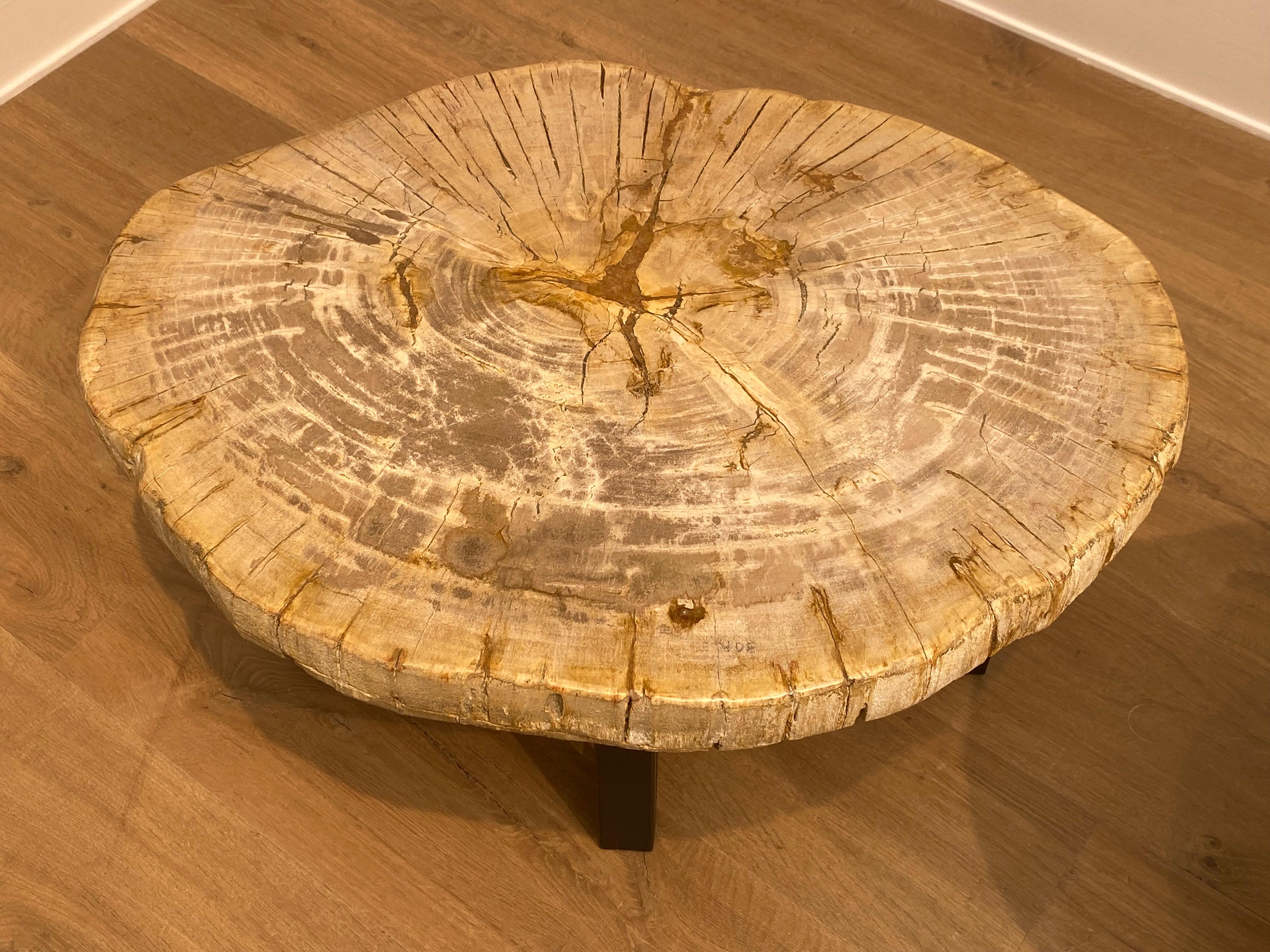 Pair of Petrified Wood Tables In Good Condition In Schellebelle, BE