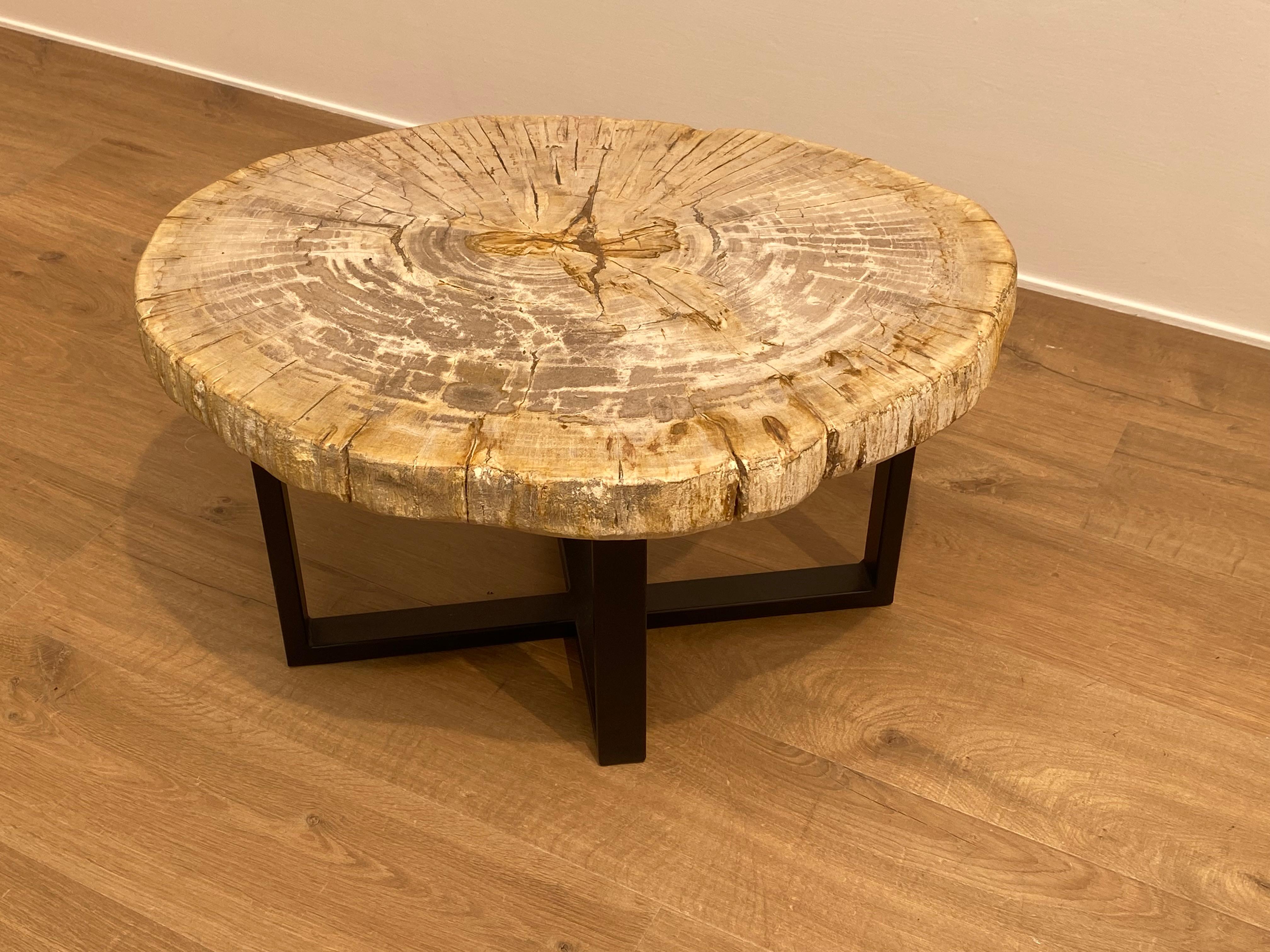 Contemporary Pair of Petrified Wood Tables