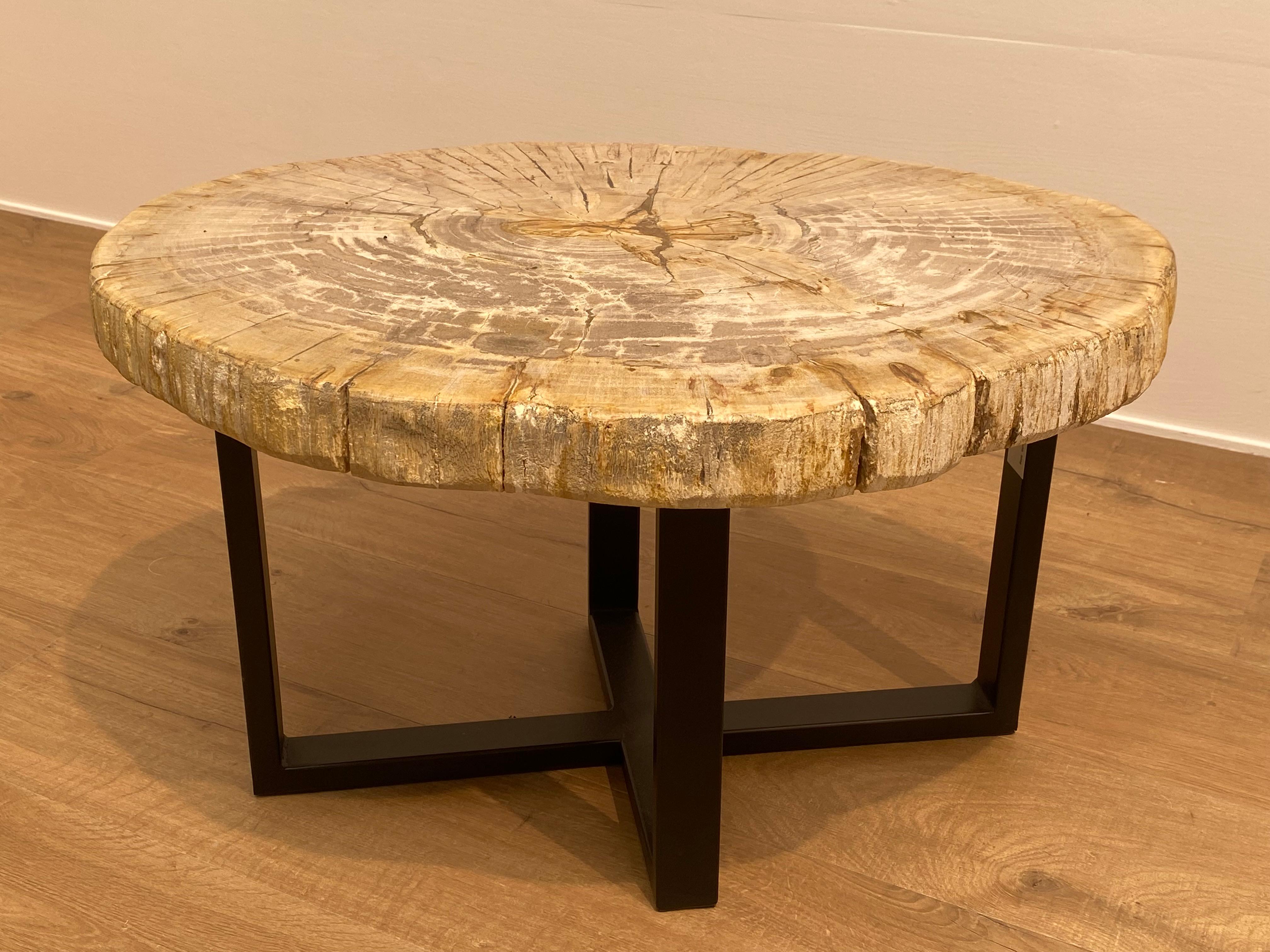 Pair of Petrified Wood Tables 1