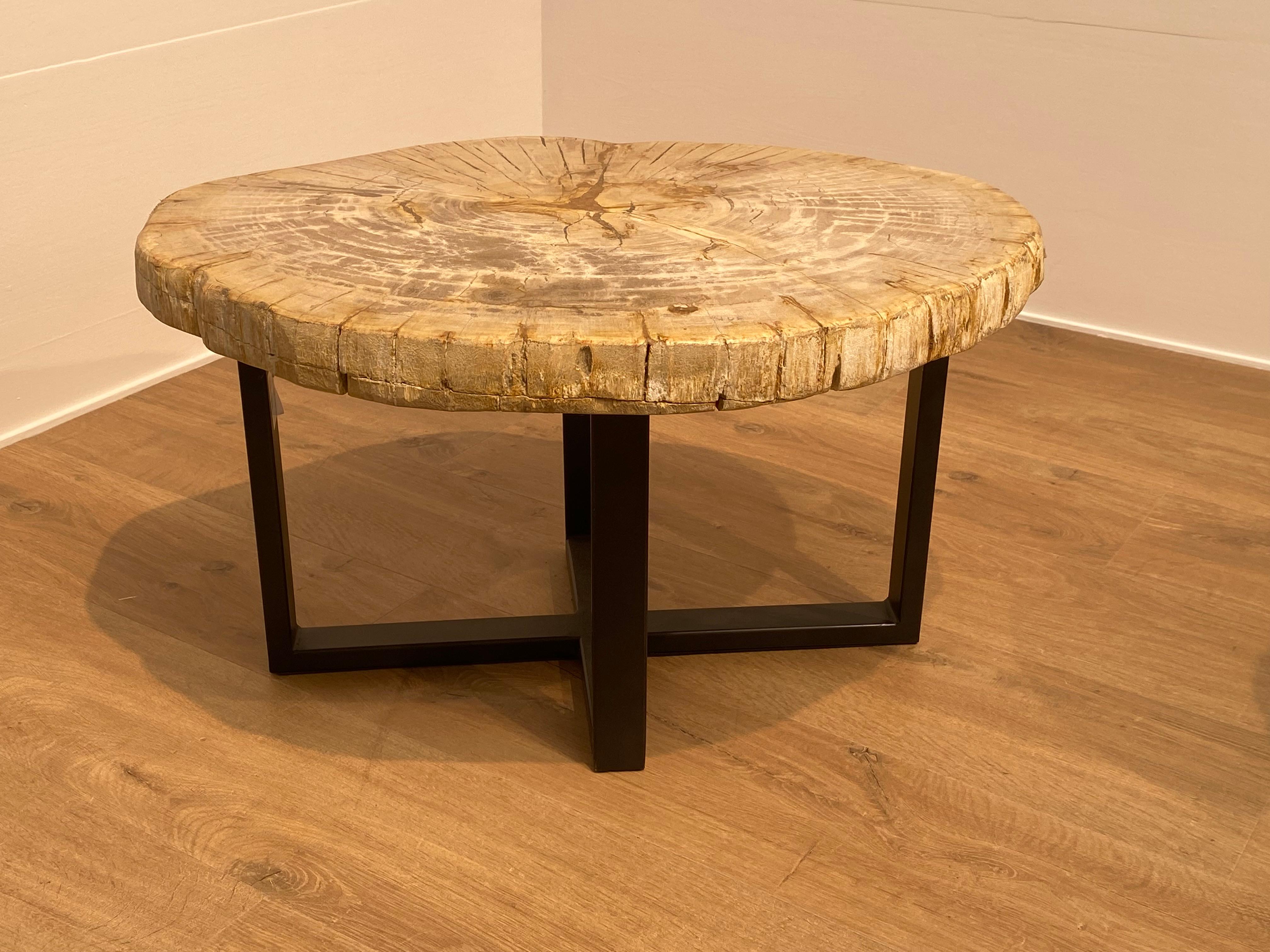 Pair of Petrified Wood Tables 2