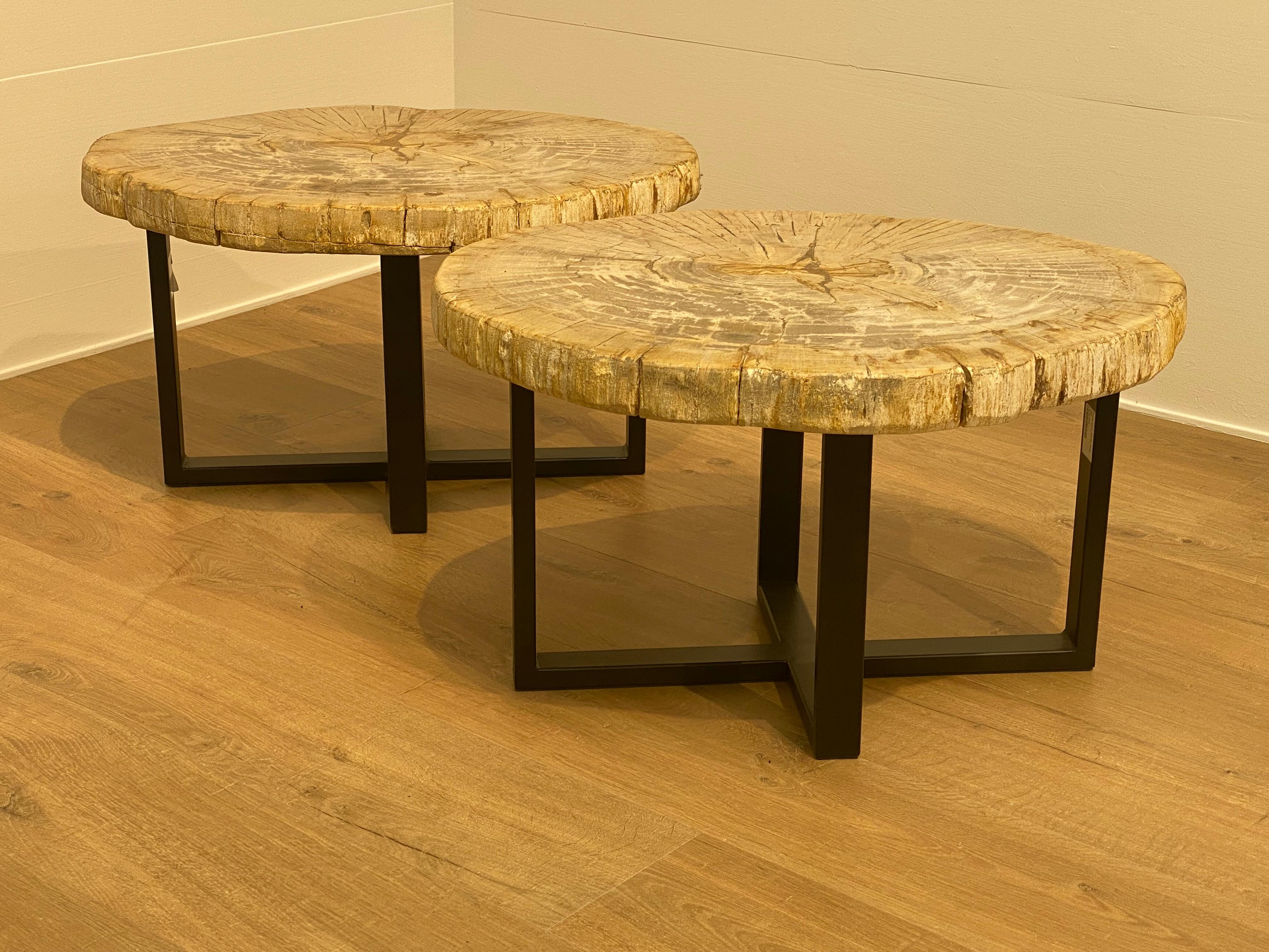 Pair of Petrified Wood Tables 3