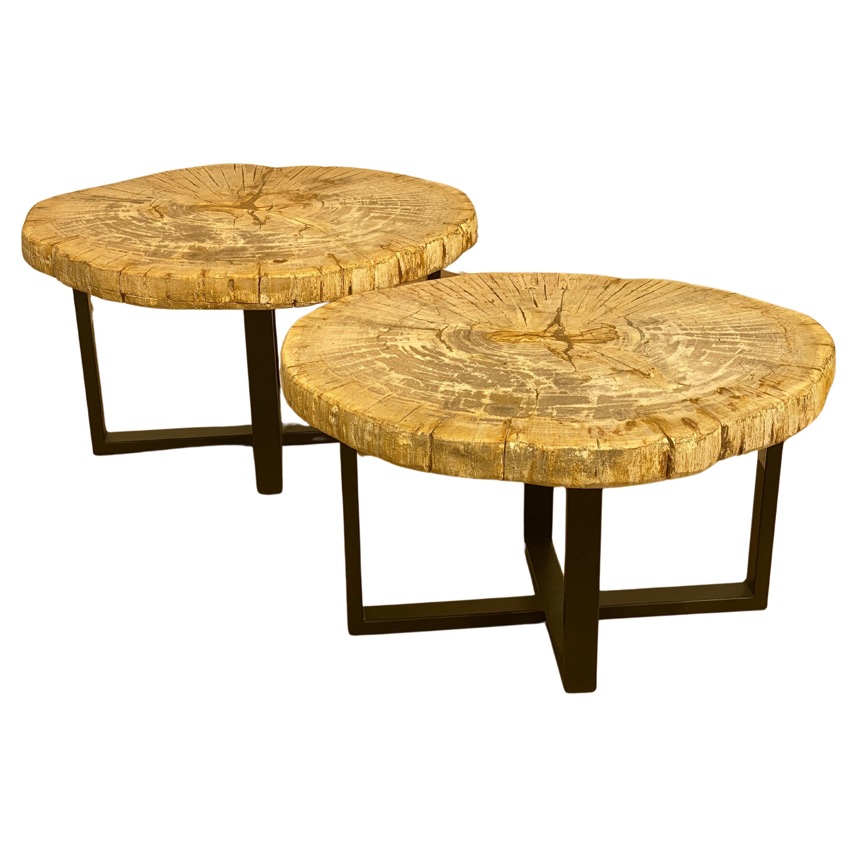 Pair of Petrified Wood Tables