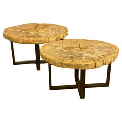 Pair of Petrified Wood Tables