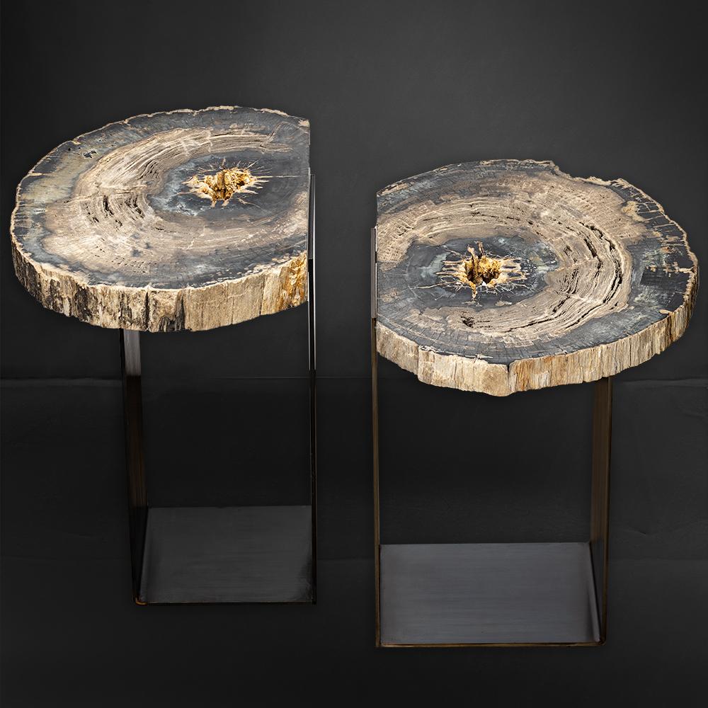 Organic Modern Pair of Petrified Wood Tables with Powder-Coated Steel Base