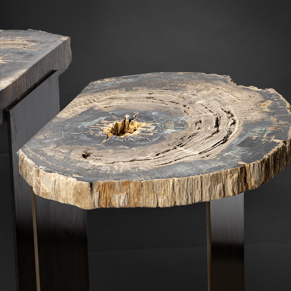 Mexican Pair of Petrified Wood Tables with Powder-Coated Steel Base