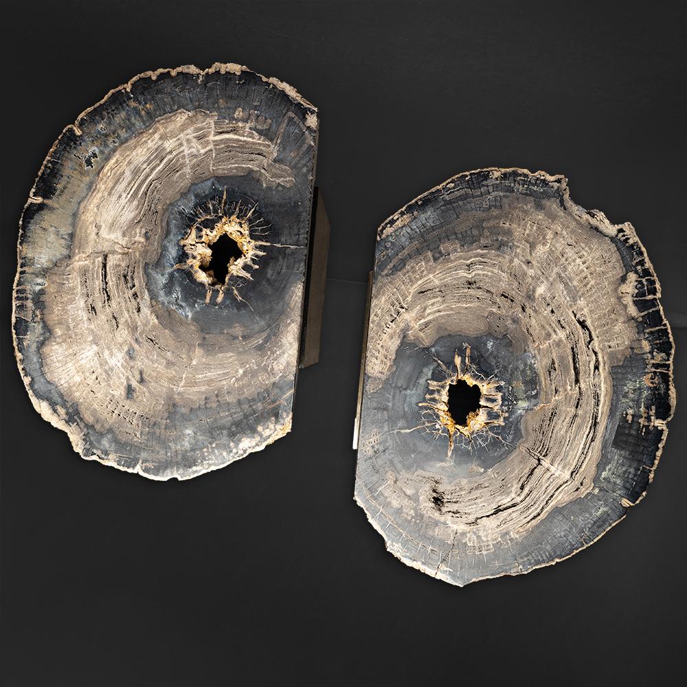 Polished Pair of Petrified Wood Tables with Powder-Coated Steel Base