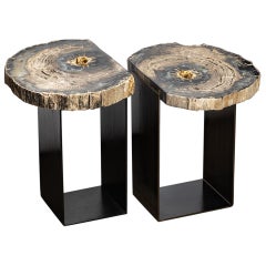 Pair of Petrified Wood Tables with Powder-Coated Steel Base