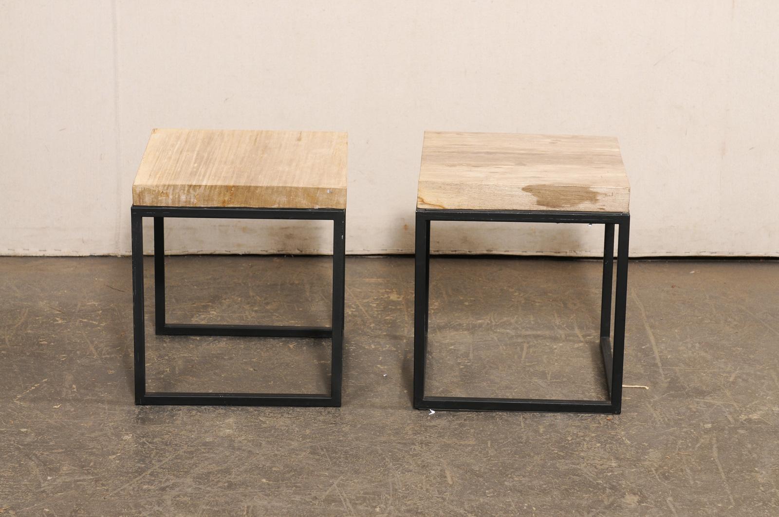 Pair of Petrified Wood Top & Iron End Tables For Sale 5