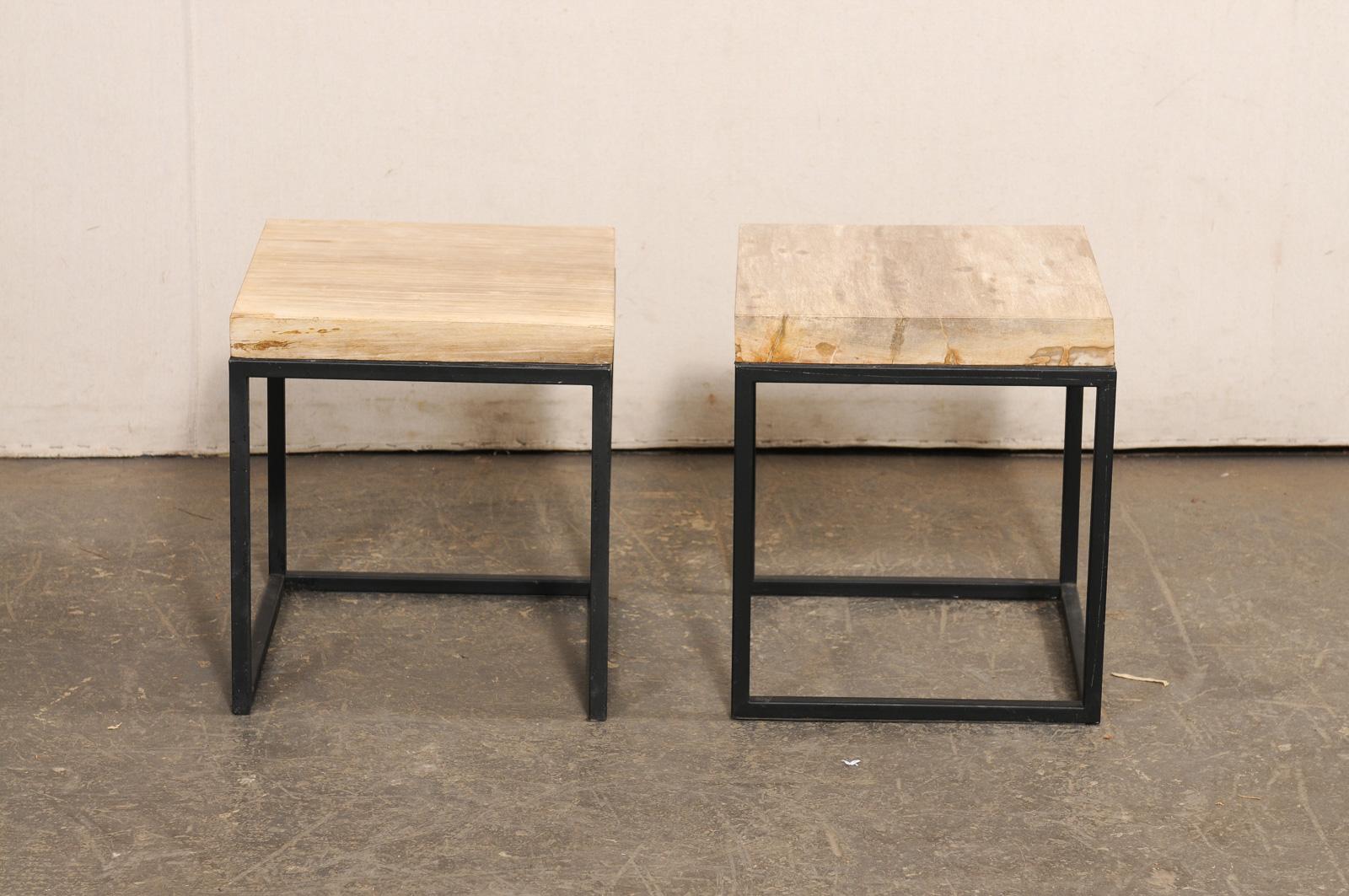 Pair of Petrified Wood Top & Iron End Tables For Sale 6