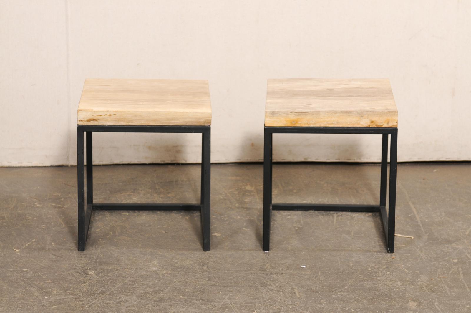 Pair of Petrified Wood Top & Iron End Tables For Sale 7