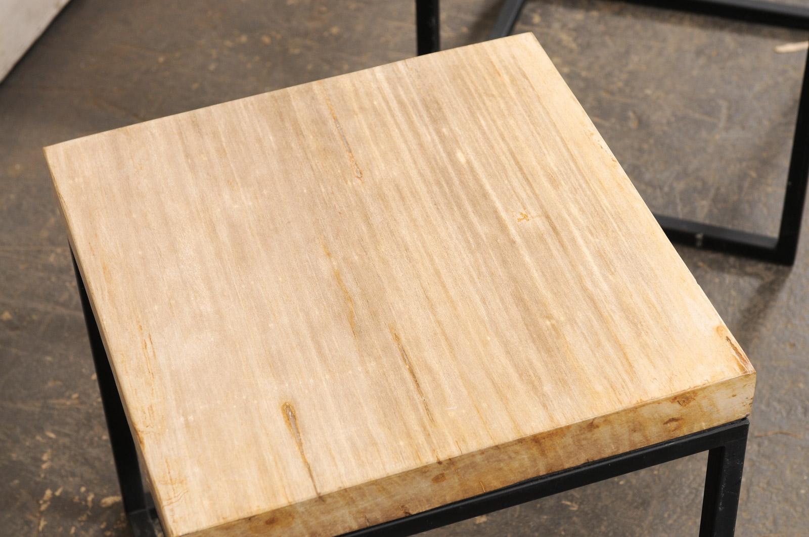 Pair of Petrified Wood Top & Iron End Tables For Sale 1