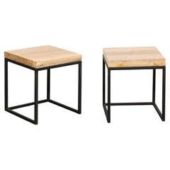 Pair of Petrified Wood Top 
Iron End Tables