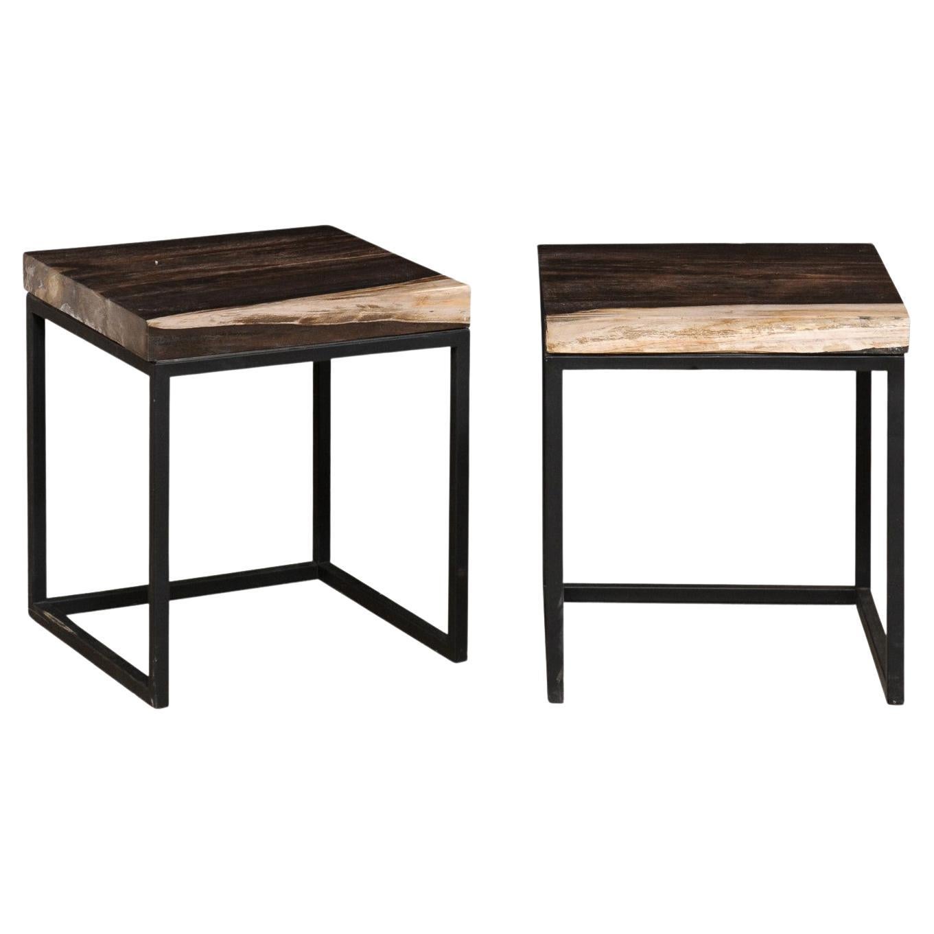 Pair of Petrified Wood Top Side Tables on Custom Iron Bases, Charcoal/Beige Tops
