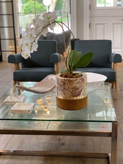 Pair Of Pierre Jeanneret 1960 Capitol Complex Armchair in Oak with Jeans Fabric