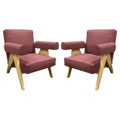 Pair Of Pierre Jeanneret 1960 Capitol Complex Armchair in Oak with Vinaccia