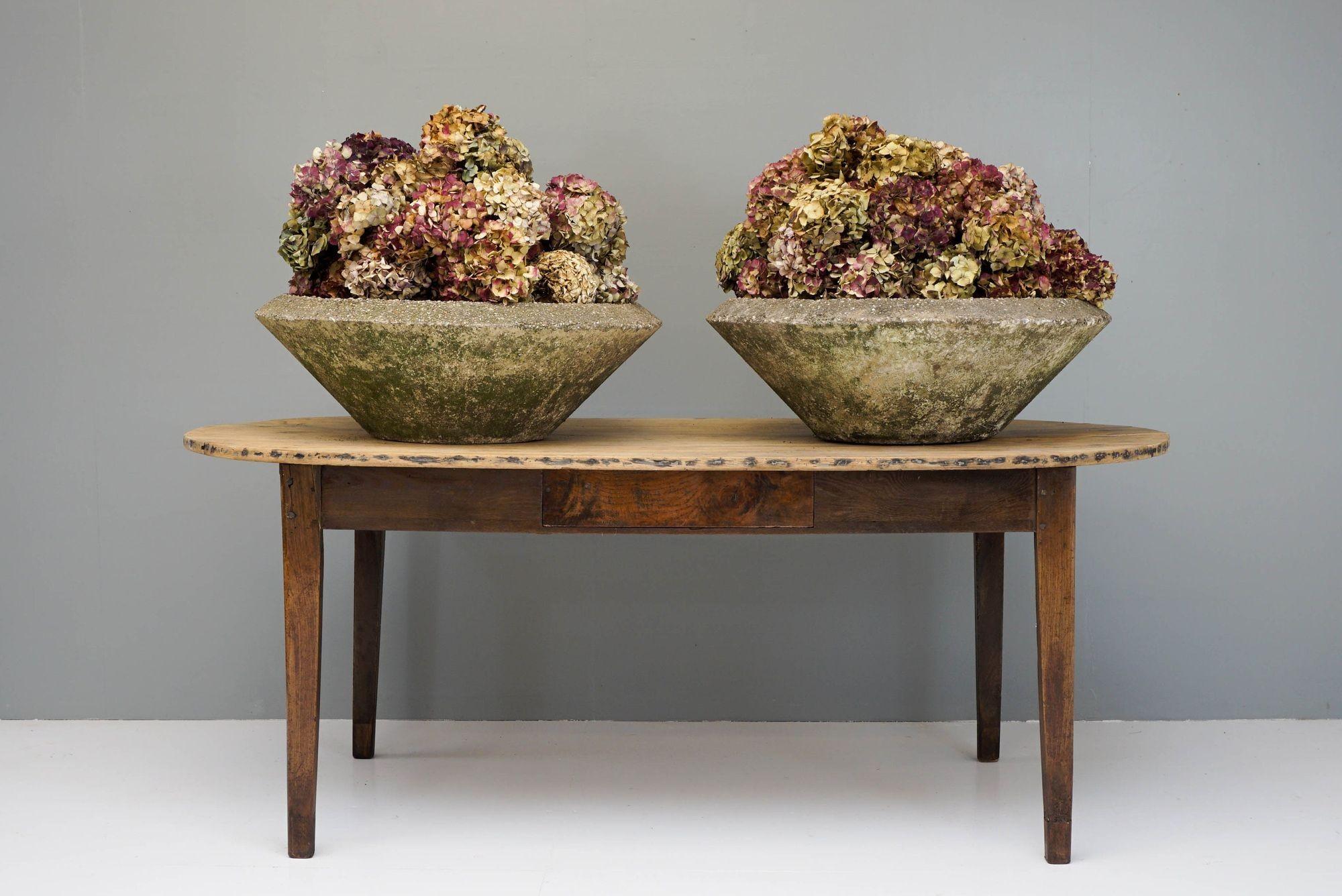 Pair of circular concrete planters. Price for the pair.

England Circa 1960

H 28cm x W 82cm x D 82cm

Please be in contact if you require anymore information about our products.

*****IMPORTANT*****

Please be in contact before making a purchase,