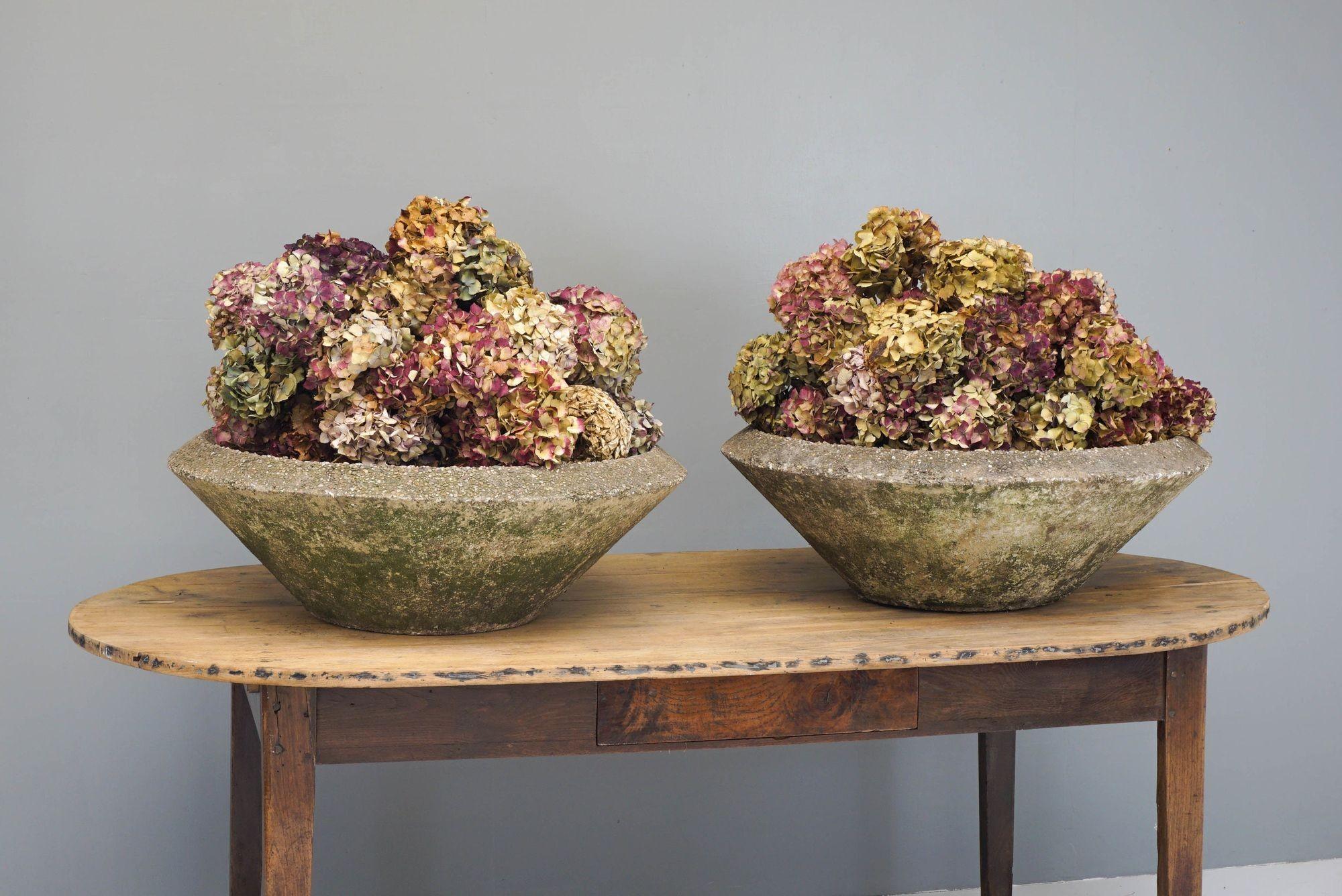 Pair of Planters In condizioni buone in vendita a London, England