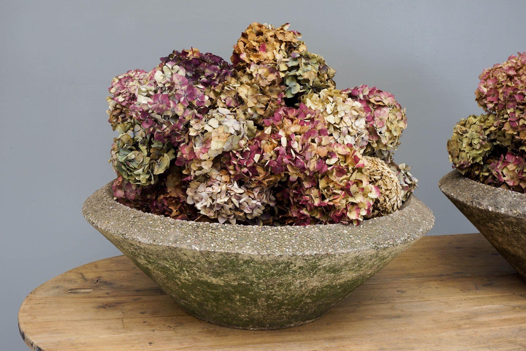 Calcestruzzo Pair of Planters in vendita