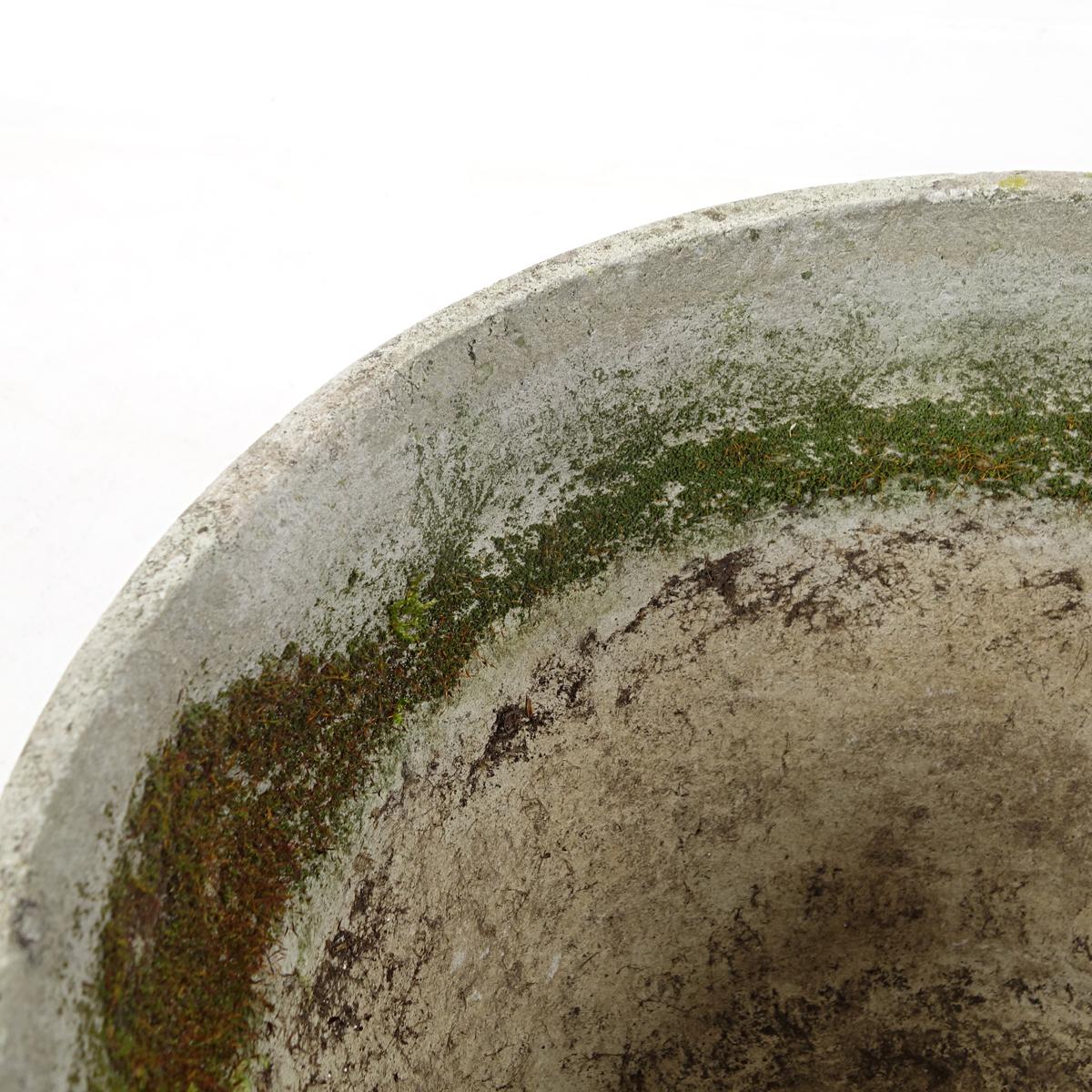Concrete Pair of Planters in Flower Pot Shape with Ribbed Rims by Willy Guhl for Eternit