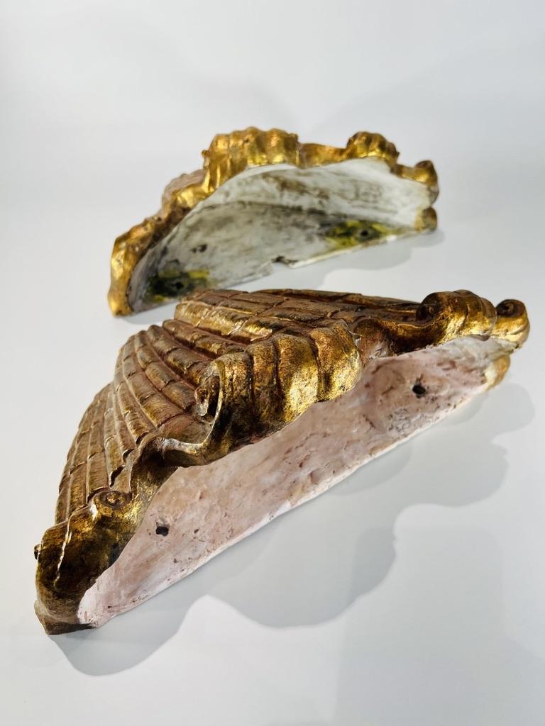Großes Paar Pflanzgefäße aus Gips mit alter goldener Patina, die Muscheln darstellen 1900 (Italienisch) im Angebot