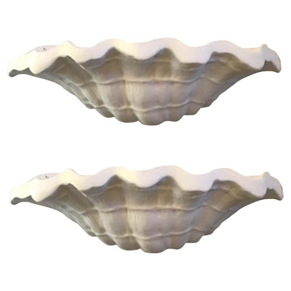 Organic Modern Shell Wall Light/Wall Sconce in White Plaster by Hannah ...